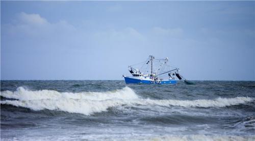 photo of Over-demanding market affects fisheries more than climate change image
