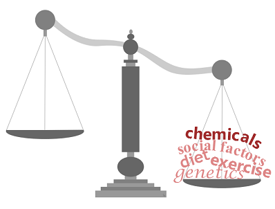 photo of Obesity and Environmental Chemicals image