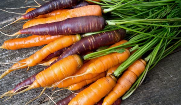 photo of Study Finds Lower Pesticide Levels in People Who Eat Organic Produce image