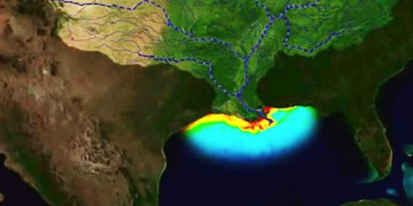 photo of Gulf of Mexico's Dead Zone Could be Largest Ever, Thanks to the Meat Industry image