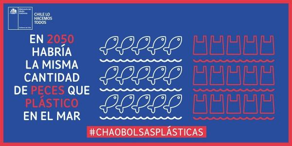 photo of Plastics Industry Loses Legal Bid Against Chile's Landmark Bag Ban image