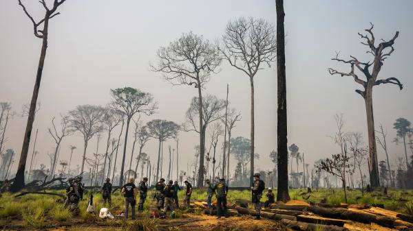 Brazil carves national park to make room…