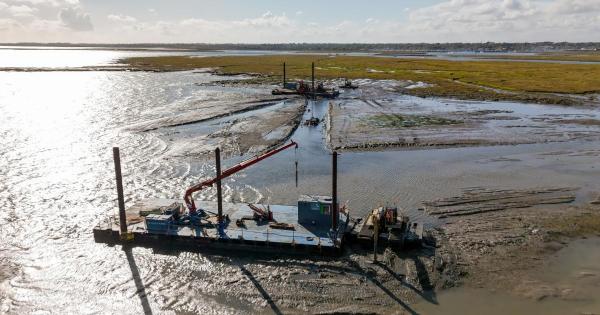 'Nature will take over'