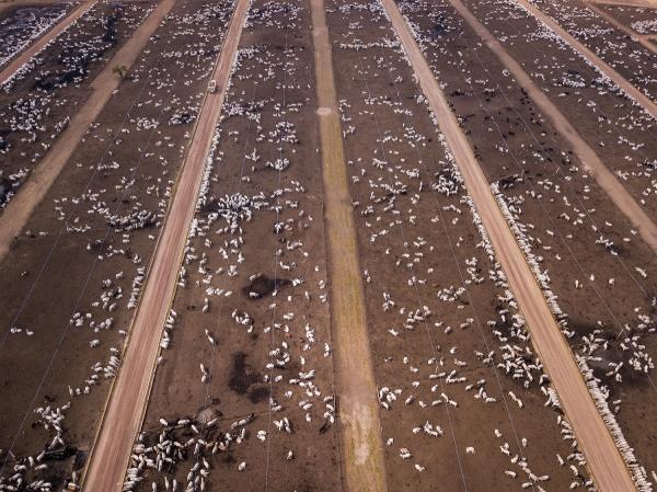 Meat giant JBS silently ditches bolder&hellip;