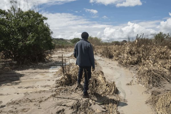 Development banks are backing…