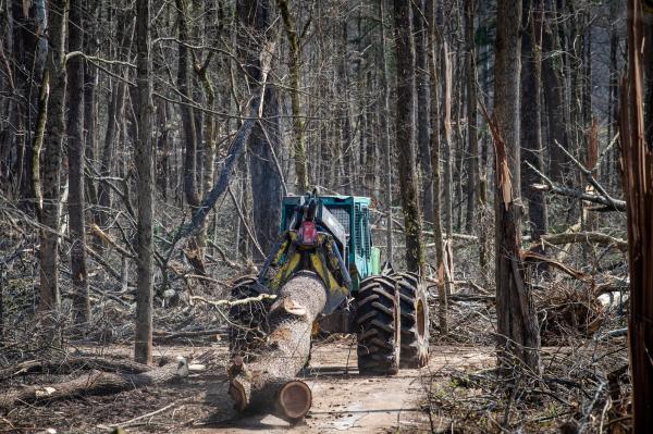 Pollution, PFAS and plug-in solar bills&hellip;