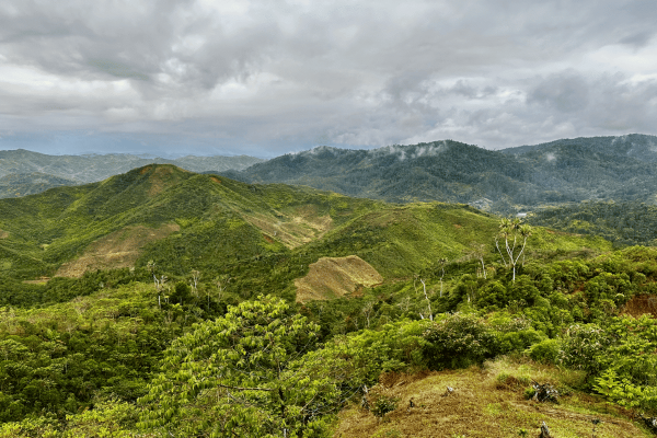 A reforestation corridor in Madagascar&hellip;