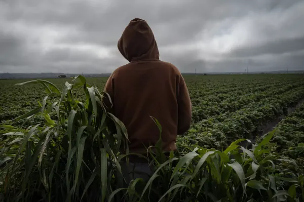 California’s child farmworkers:…