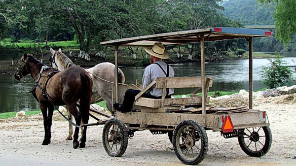 Land records reveal how Mennonites are&hellip;