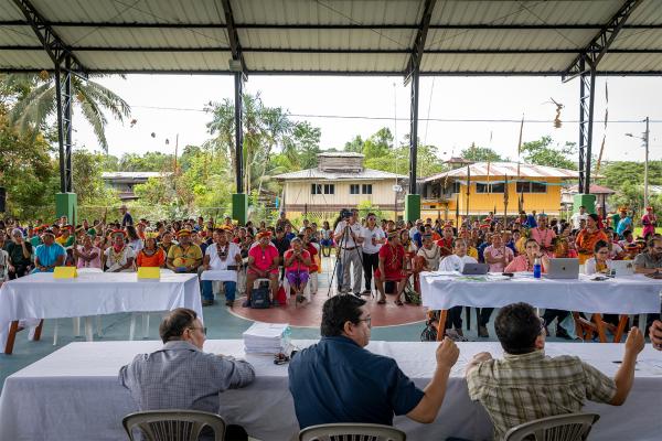 NGO support can negatively impact&hellip;