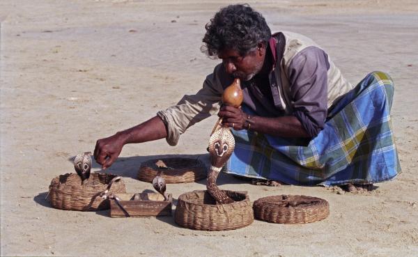 Sri Lanka’s disappearing snake charmers carry a legacy of&hellip;