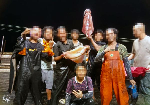 Chinese squid tied to labor abuses finds…