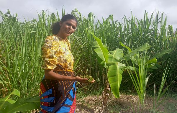 In Malawi, one woman’s farm shows&hellip;