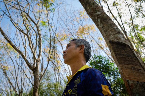 In Thailand, EUDR pressure on…