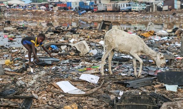 Can two Amazons survive? Invisible…