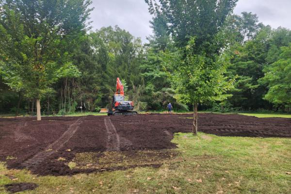 Plans Bloom for a Microforest in…