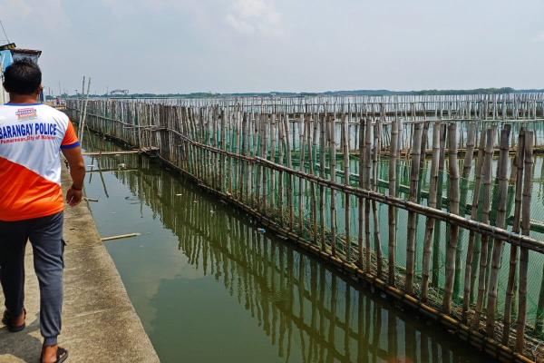 Philippine village uses nature to defend&hellip;