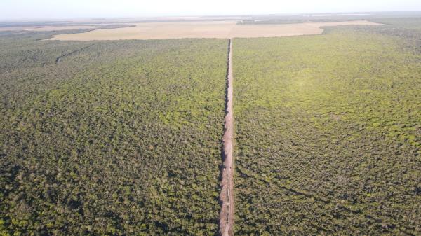 In Brazil, a project paying farmers for&hellip;