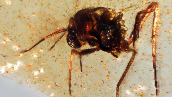 Scientists unearth a…