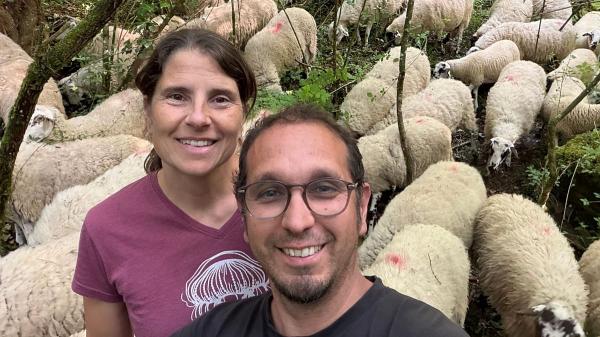 How regenerative farmers are shielding&hellip;