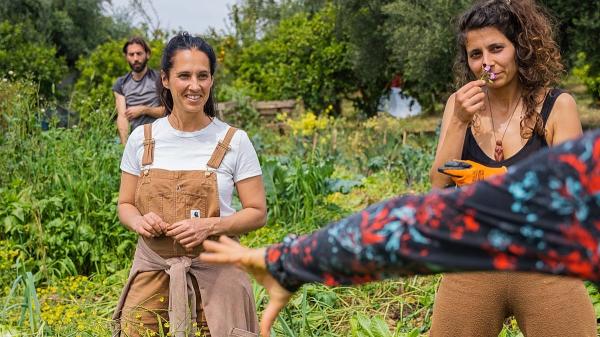 Europe's farms are reeling from the Iran&hellip;