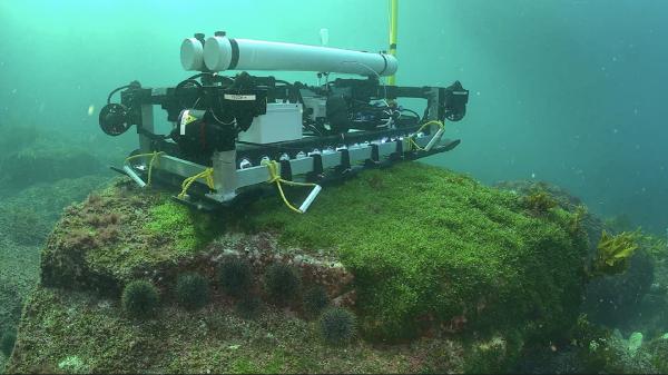 New Zealand builds an arsenal of tools&hellip;