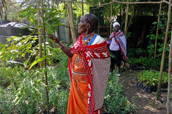 Meet the Indigenous women restoring Kenya’s Mau Forest —&hellip;