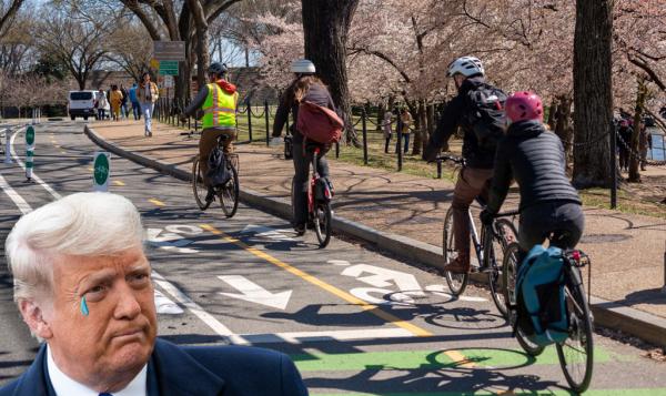 Friday’s Headlines Stay in Their Lane