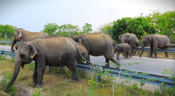 Push for solar park in Sri Lanka’s&hellip;