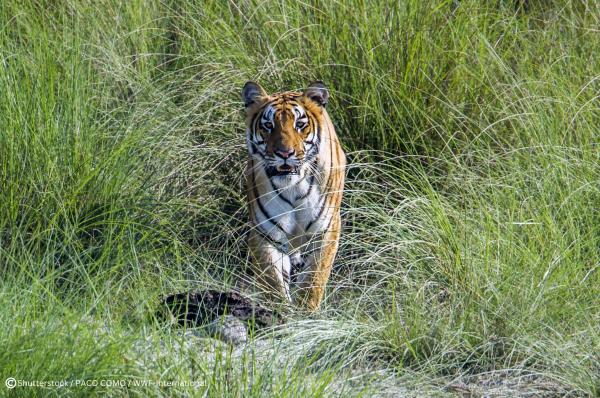 Nepal’s newest national parks drive&hellip;