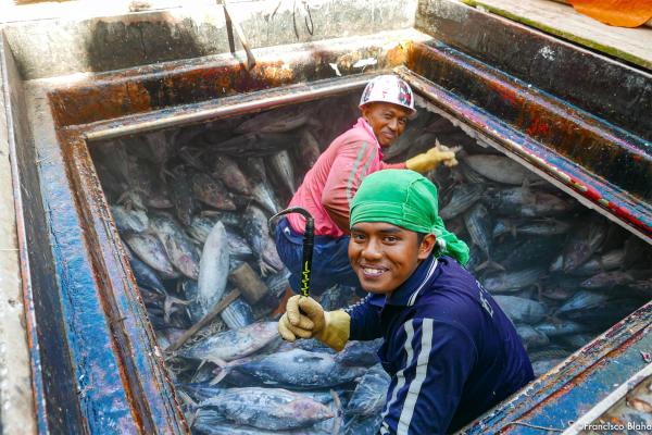 Indonesia’s ratification of fishing…