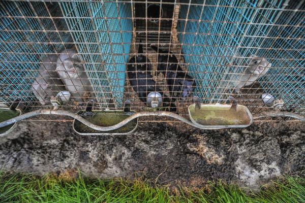 Measures must be taken now to prevent&hellip;