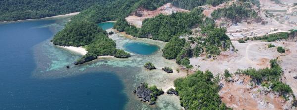 Marine conservation collides with mining&hellip;