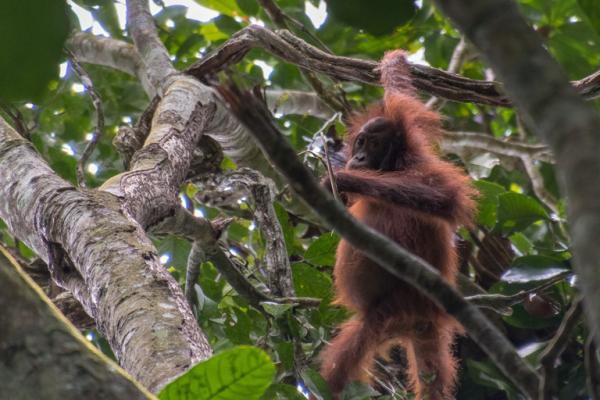 UNESCO biosphere listing raises hope,…