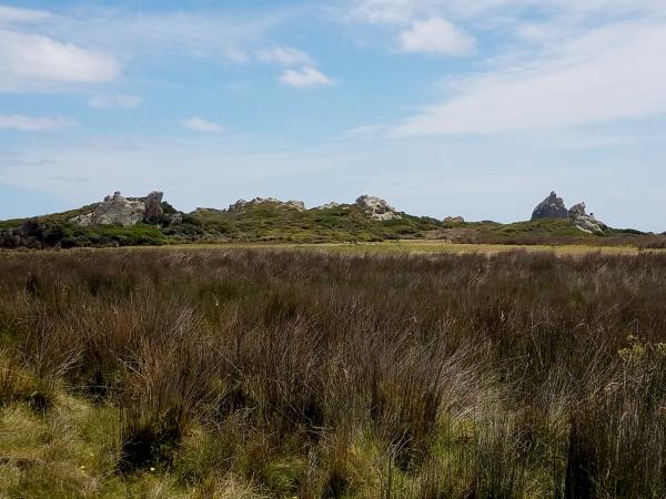 Will Australia’s main environment law&hellip;