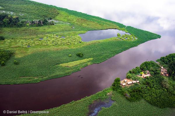Agriculture drives most tropical&hellip;