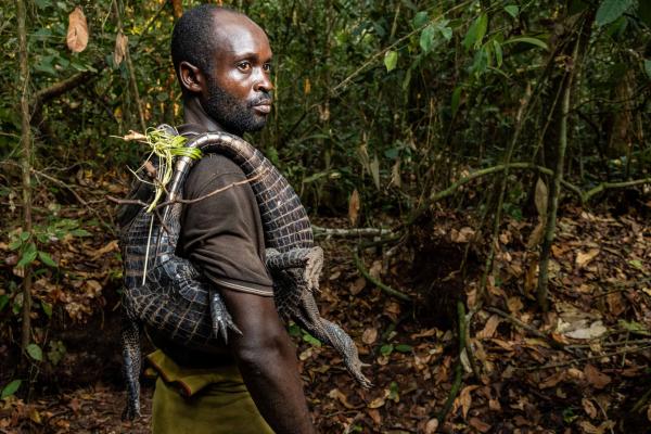 Wild animal consumption on the rise in&hellip;