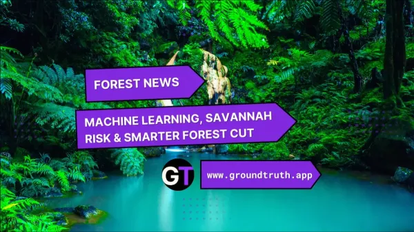 Machine Learning, Savannah Risk &…