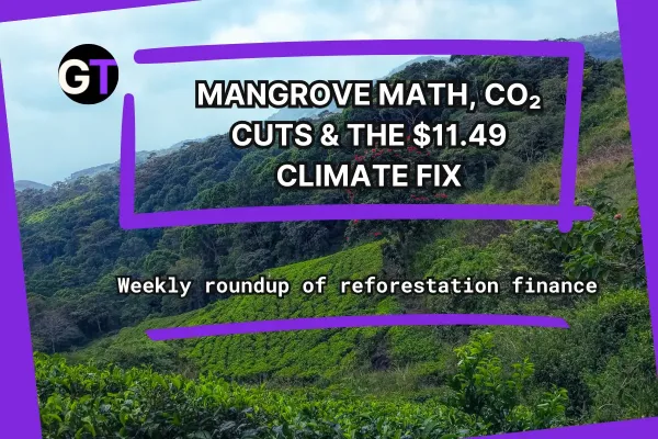 Mangrove Math, CO₂ Cuts & the $11.49…