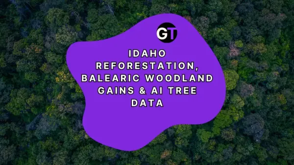 Idaho Reforestation, Balearic Woodland…
