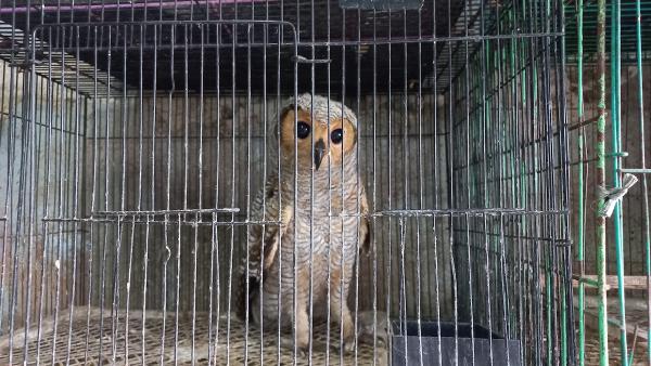 Facebook shuts Indonesia groups after&hellip;