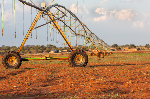 photo of Western Cape children caught in pesticide drift image
