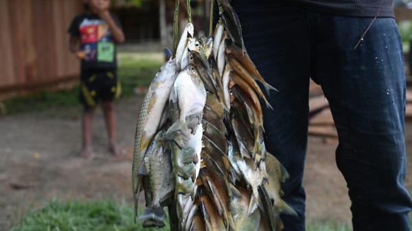 Artisanal mines in Brazil a front for&hellip;