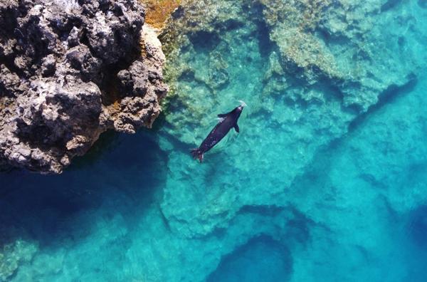 Hidden ‘bubble cave’ may help&hellip;