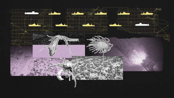 China’s deep-sea mining fleet may also&hellip;