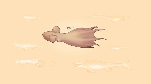 Scientists discover that giant octopuses&hellip;