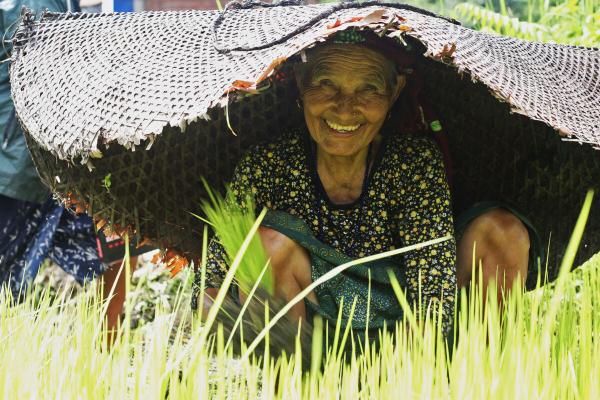 Indigenous knowledge & agroecology must…