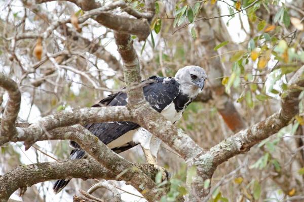 Research offers nature-positive path to&hellip;