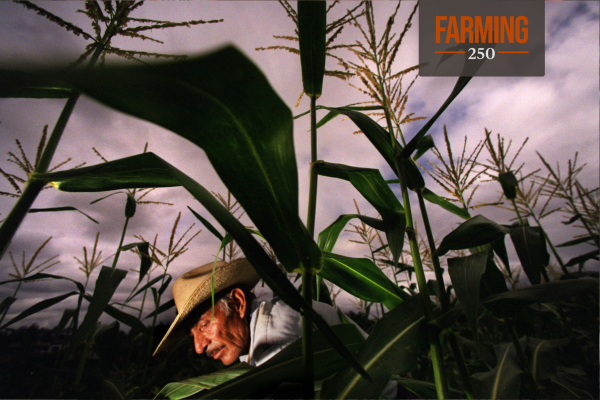 Why crops are becoming less nutritious