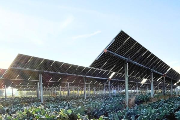 Opinion: To counter farmland loss, solar needs soil science
